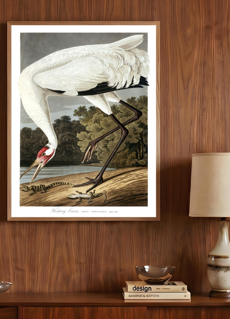 Hooping Crane Vintage Print — From John James Audubon’s Birds of America (1827–1838). Unframed