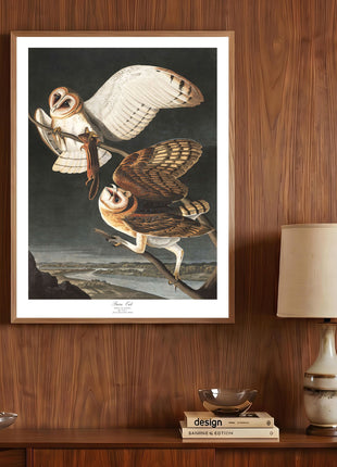Barn Owl Vintage Print — From John James Audubon’s Birds of America (1827–1838)
