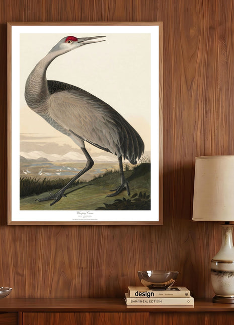 Whooping Crane Vintage Print — From John James Audubon’s Birds of America (1827–1838)