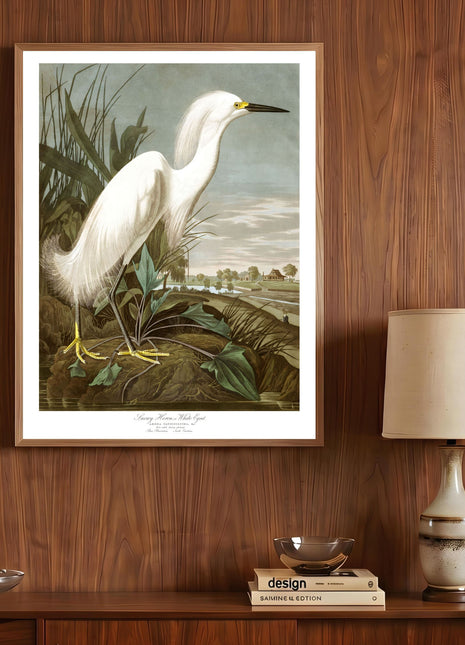 Snowy Heron, or White Egret Vintage Print — From John James Audubon’s Birds of America (1827–1838)