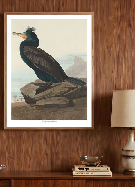 Double-crested Cormorant Vintage Print — From John James Audubon’s Birds of America (1827–1838). Unframed