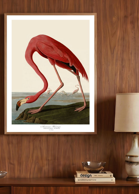 Pink Flamingo Vintage Print — From John James Audubon’s Birds of America (1827–1838)