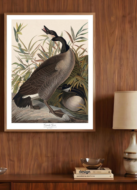 Canada Geese Vintage Print — From John James Audubon’s Birds of America (1827–1838). Unframed