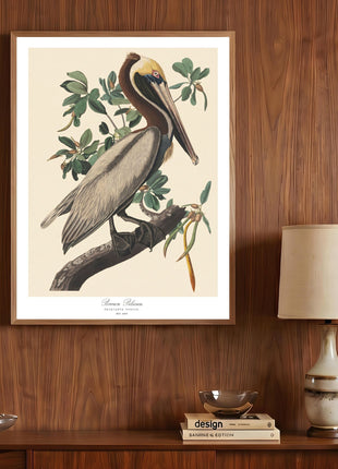 Brown Pelican Vintage Print — From John James Audubon’s Birds of America (1827–1838). Unframed