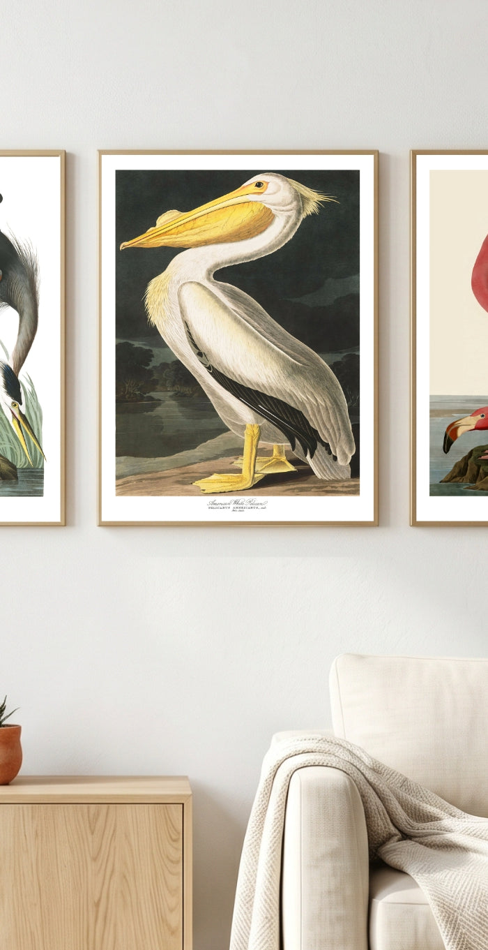 <h2>Nature's Finest, Captured by Audubon<br/><br/></h2>