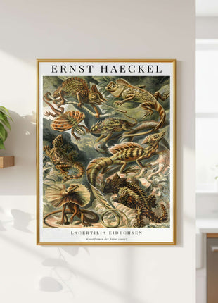 Ernst Haeckel “Lacertilia (Eidechsen)” Poster (1904) — Kunstformen der Natur Lizard Illustration. Unframed