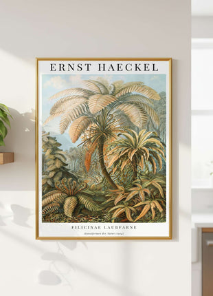 Ernst Haeckel “Filicinae (Laubfarne)” Poster (1904) — Kunstformen der Natur Fern Illustration. Unframed