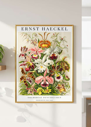 Ernst Haeckel “Orchideae (Denusblumen)” Poster (1904) — Kunstformen der Natur Orchid Illustration. Unframed