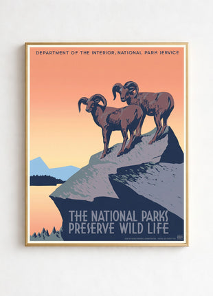 “The National Parks Preserve Wild Life” Vintage Unframed Poster (1930s) — WPA Bighorn Sheep Scene