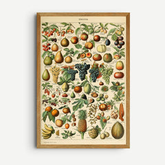 Collection image for: Adolphe Millot