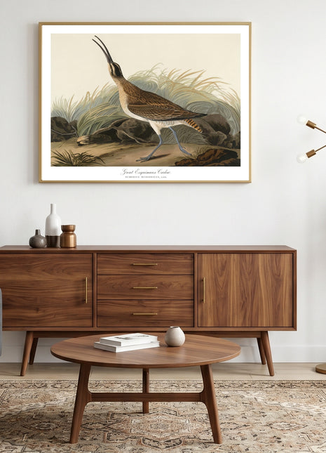 Great Esquimaux Curlew Vintage Print — From John James Audubon’s Birds of America (1827–1838). Unframed