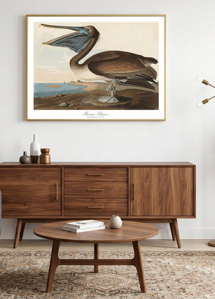Brown Pelican Vintage Print — From John James Audubon’s Birds of America (1827–1838). Unframed