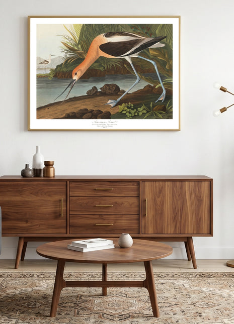 American Avocet Vintage Print — From John James Audubon’s Birds of America (1827–1838). Unframed