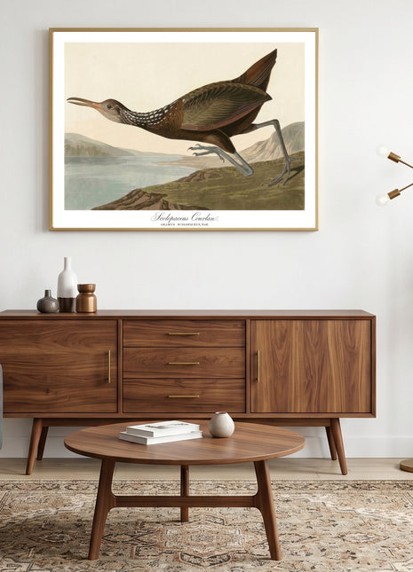 Scolopaceus Courlan Vintage Print — From John James Audubon’s Birds of America (1827–1838). Unframed