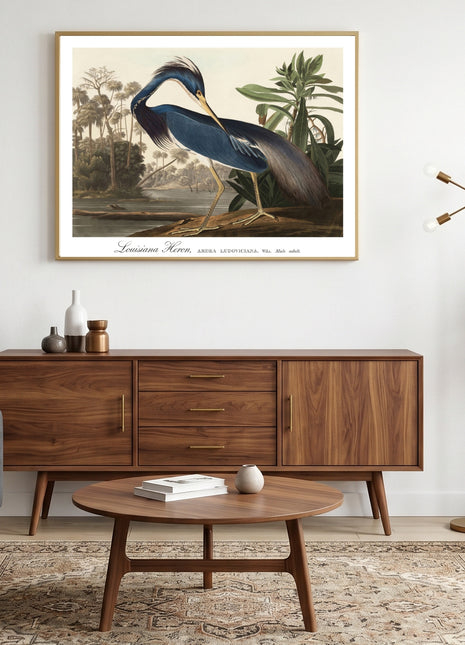 Louisiana Heron Vintage Print — From John James Audubon’s Birds of America (1827–1838). Unframed