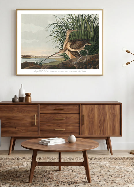 Long-billed Curlew Vintage Print — From John James Audubon’s Birds of America (1827–1838). Unframed